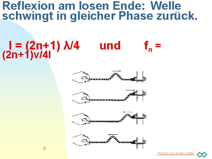 Reflexion am losen Ende: Welle schwingt in gleicher Phase zurück. l = (2 n+1)