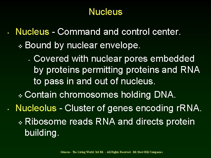 Nucleus • • Nucleus - Command control center. v Bound by nuclear envelope. -