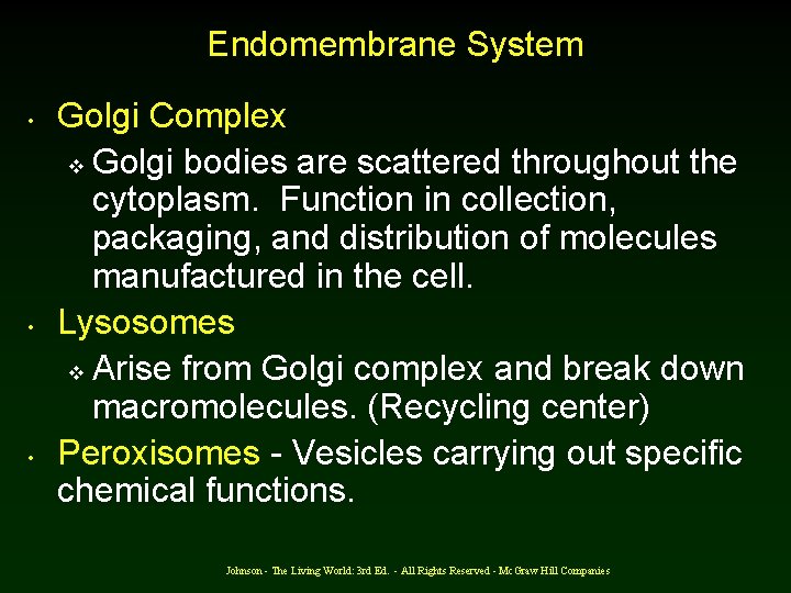 Endomembrane System • • • Golgi Complex v Golgi bodies are scattered throughout the