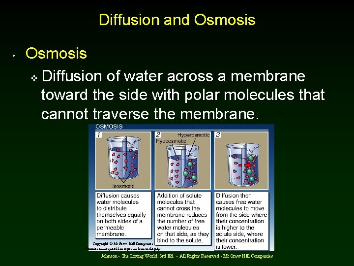 Diffusion and Osmosis • Osmosis v Diffusion of water across a membrane toward the