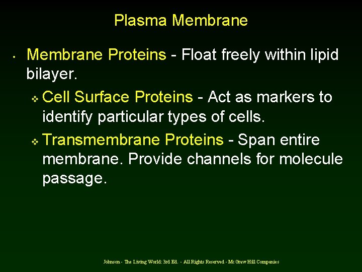 Plasma Membrane • Membrane Proteins - Float freely within lipid bilayer. v Cell Surface