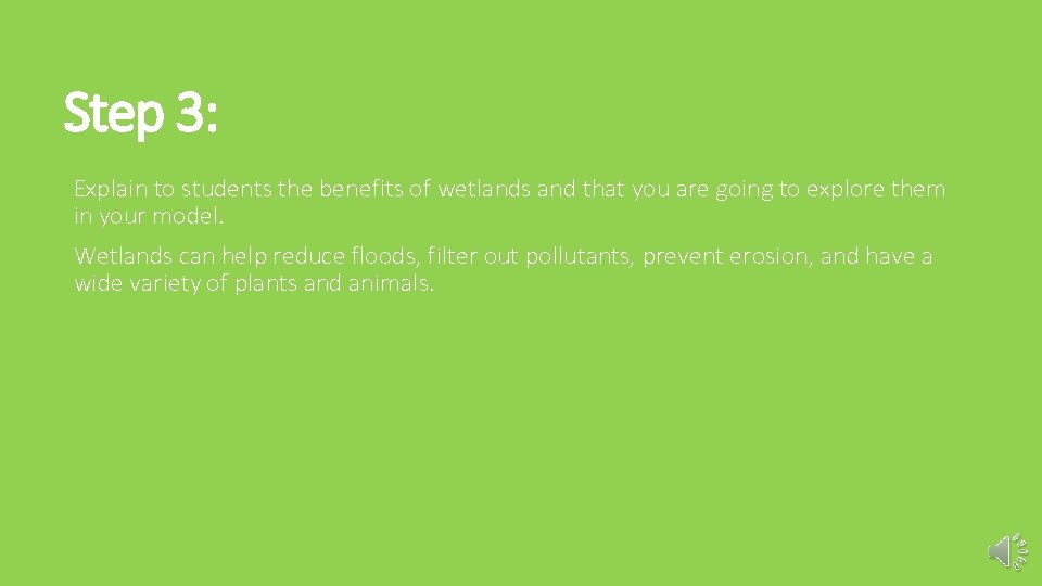 Step 3: Explain to students the benefits of wetlands and that you are going