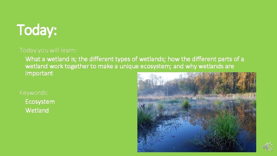 Today: Today you will learn: What a wetland is; the different types of wetlands;