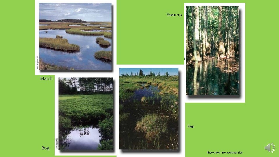 Swamp Marsh Fen Bog Photos from EPA wetlands site 