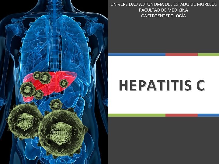 UNIVERSIDAD AUTONOMA DEL ESTADO DE MORELOS FACULTAD DE MEDICINA GASTROENTEROLOGÍA HEPATITIS C 