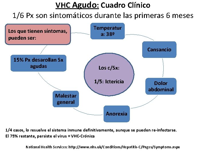 VHC Agudo: Cuadro Clínico 1/6 Px son sintomáticos durante las primeras 6 meses Los