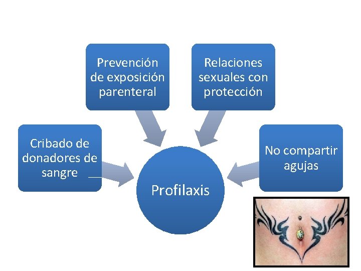 Prevención de exposición parenteral Cribado de donadores de sangre Relaciones sexuales con protección No