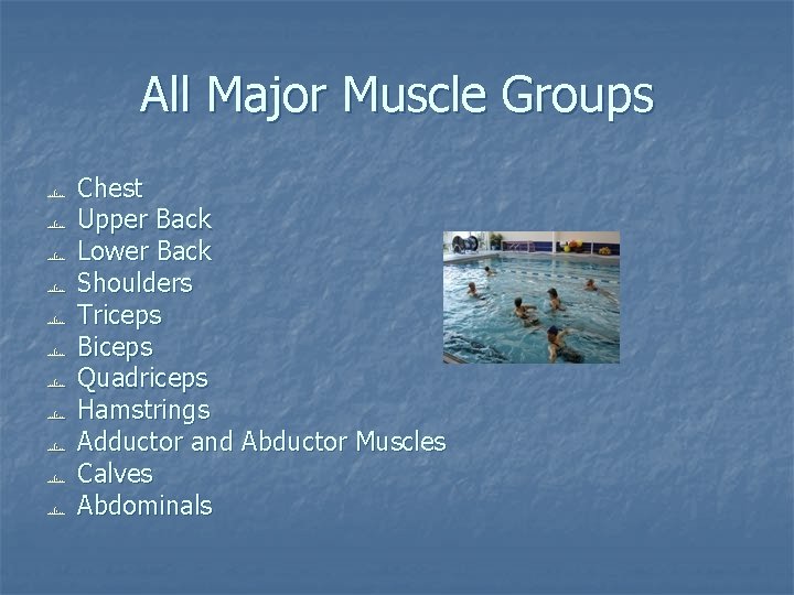 All Major Muscle Groups Chest Upper Back Lower Back Shoulders Triceps Biceps Quadriceps Hamstrings All Major Muscle Groups Chest Upper Back Lower Back Shoulders Triceps Biceps Quadriceps Hamstrings