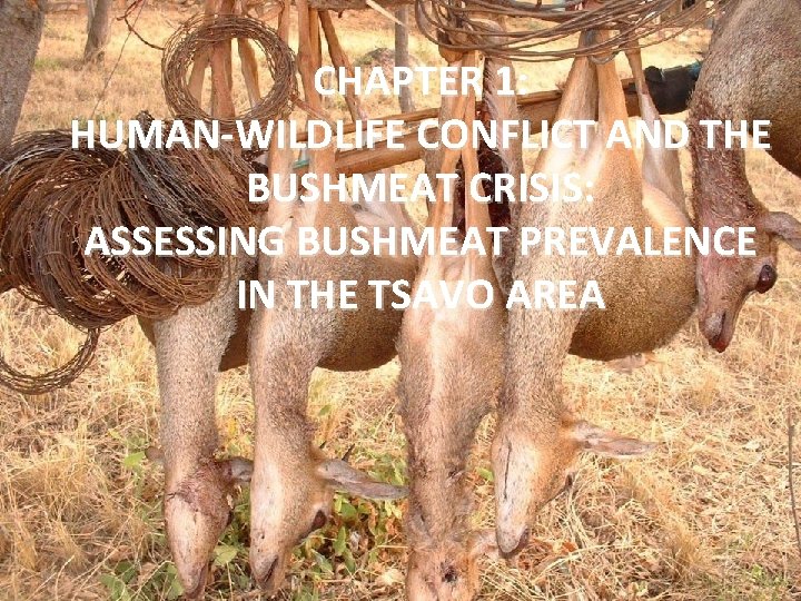 CHAPTER 1: HUMAN-WILDLIFE CONFLICT AND THE BUSHMEAT CRISIS: ASSESSING BUSHMEAT PREVALENCE IN THE TSAVO