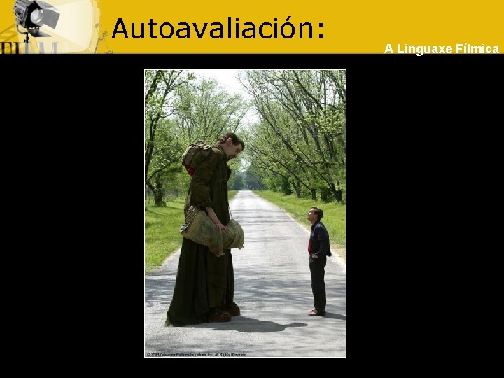 Autoavaliación: A Linguaxe Fílmica 