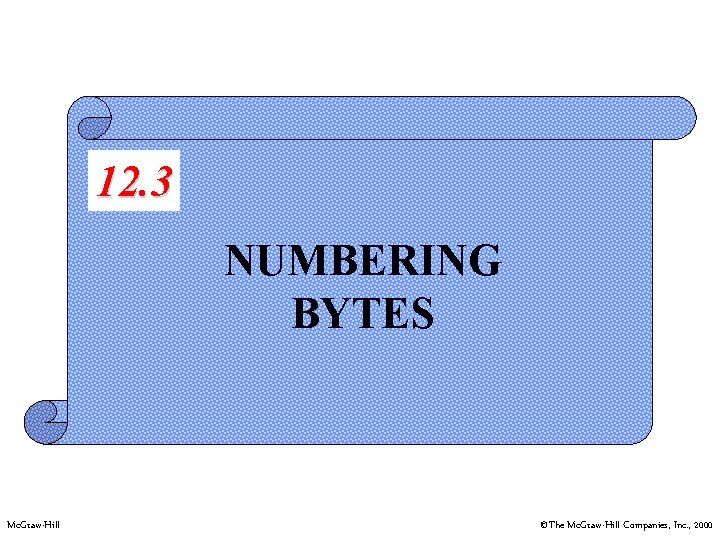 12. 3 NUMBERING BYTES Mc. Graw-Hill ©The Mc. Graw-Hill Companies, Inc. , 2000 