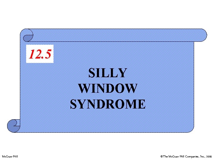 12. 5 SILLY WINDOW SYNDROME Mc. Graw-Hill ©The Mc. Graw-Hill Companies, Inc. , 2000