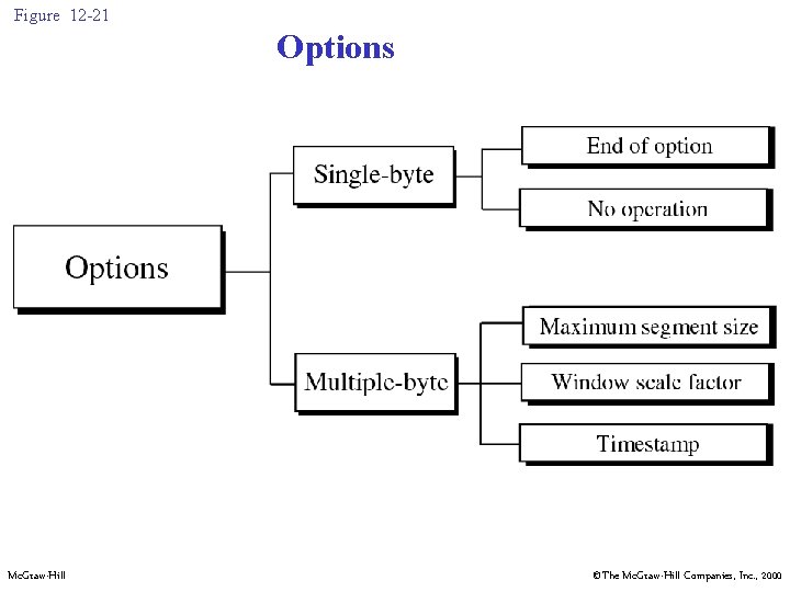 Figure 12 -21 Options Mc. Graw-Hill ©The Mc. Graw-Hill Companies, Inc. , 2000 