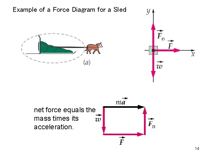 Example of a Force Diagram for a Sled net force equals the mass times