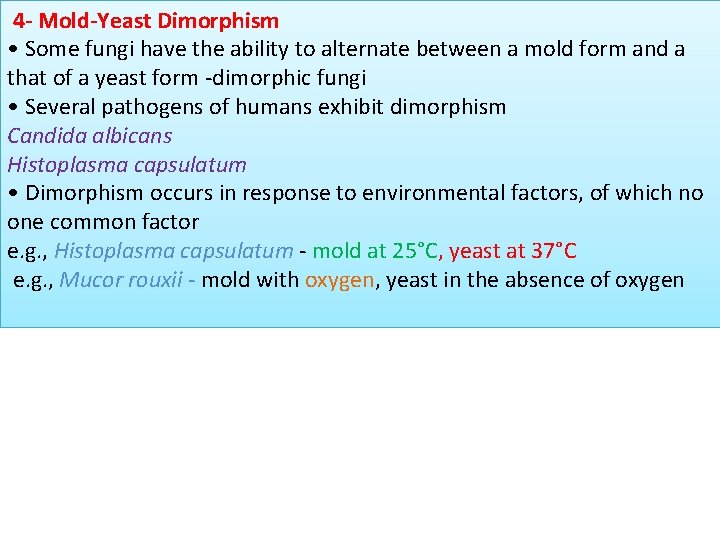 4 - Mold-Yeast Dimorphism • Some fungi have the ability to alternate between a 4 - Mold-Yeast Dimorphism • Some fungi have the ability to alternate between a