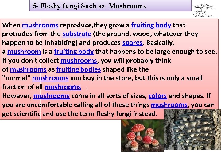 5 - Fleshy fungi Such as Mushrooms When mushrooms reproduce, they grow a fruiting