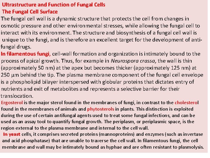 Ultrastructure and Function of Fungal Cells The Fungal Cell Surface The fungal cell wall