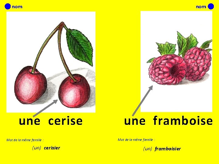 nom une cerise Mot de la même famille : (un) cerisier une framboise Mot