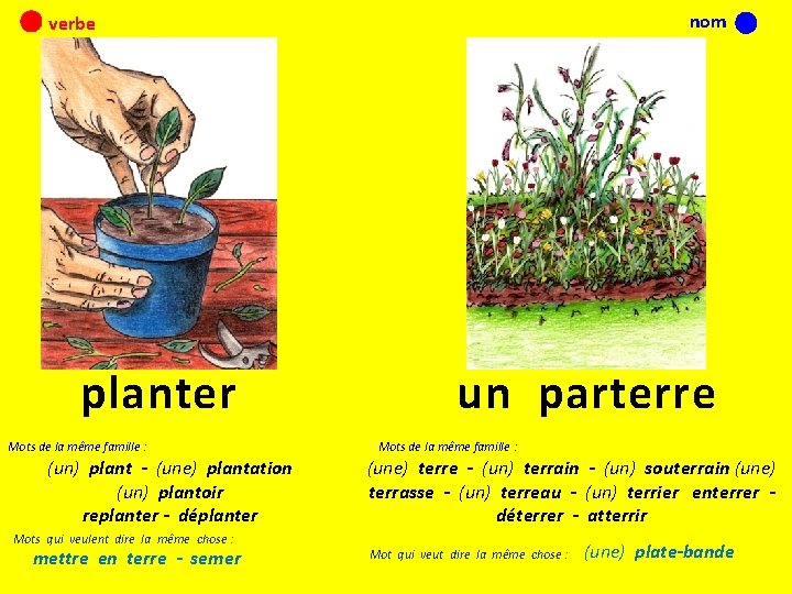 nom verbe planter Mots de la même famille : (un) plant - (une) plantation