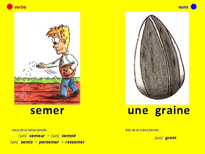 verbe nom semer Mots de la même famille : (un) semeur - (un) semoir