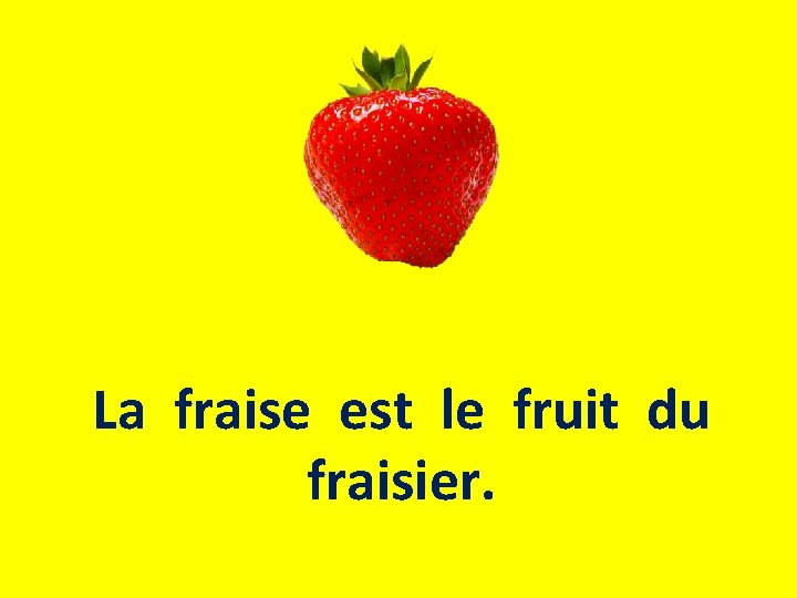 La fraise est le fruit du fraisier. 