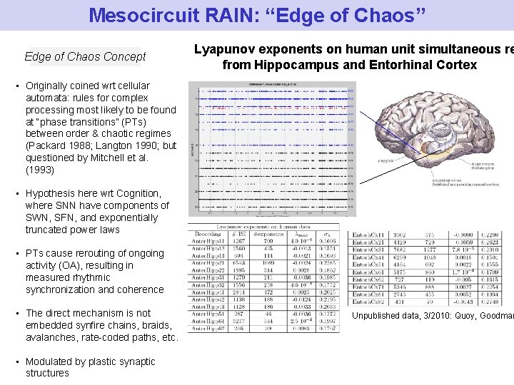 Mesocircuit RAIN: “Edge of Chaos” Edge of Chaos Concept Lyapunov exponents on human unit Mesocircuit RAIN: “Edge of Chaos” Edge of Chaos Concept Lyapunov exponents on human unit