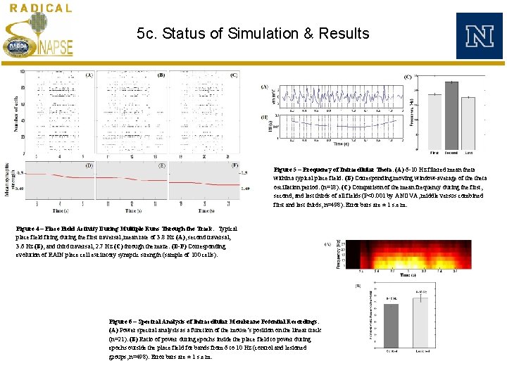 5 c. Status of Simulation & Results Figure 5 – Frequency of Intracellular Theta. 5 c. Status of Simulation & Results Figure 5 – Frequency of Intracellular Theta.