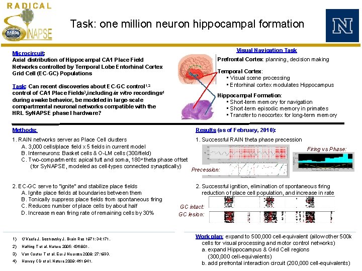 Task: one million neuron hippocampal formation Visual Navigation Task Microcircuit: Axial distribution of Hippocampal Task: one million neuron hippocampal formation Visual Navigation Task Microcircuit: Axial distribution of Hippocampal