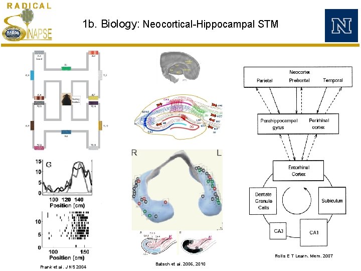 1 b. Biology: Neocortical-Hippocampal STM Rolls E T Learn. Mem. 2007 Frank et al. 1 b. Biology: Neocortical-Hippocampal STM Rolls E T Learn. Mem. 2007 Frank et al.