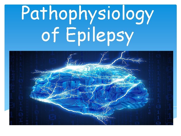 Pathophysiology of Epilepsy 