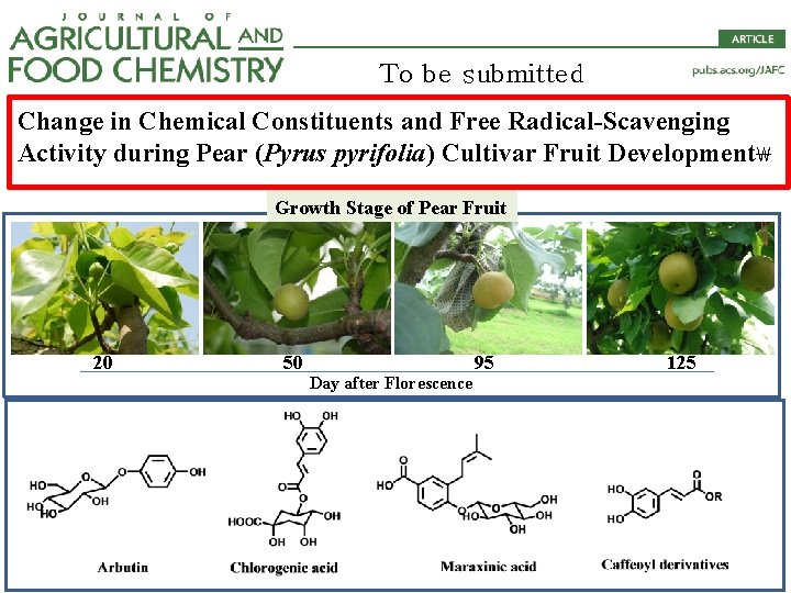To be submitted Change in Chemical Constituents and Free Radical-Scavenging Activity during Pear (Pyrus