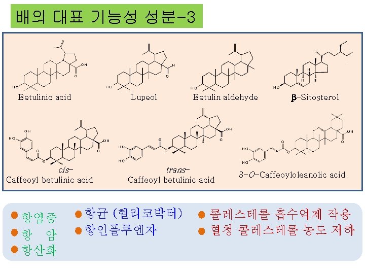 배의 대표 기능성 성분-3 Betulinic acid Lupeol cis- trans- Caffeoyl betulinic acid 항염증 항