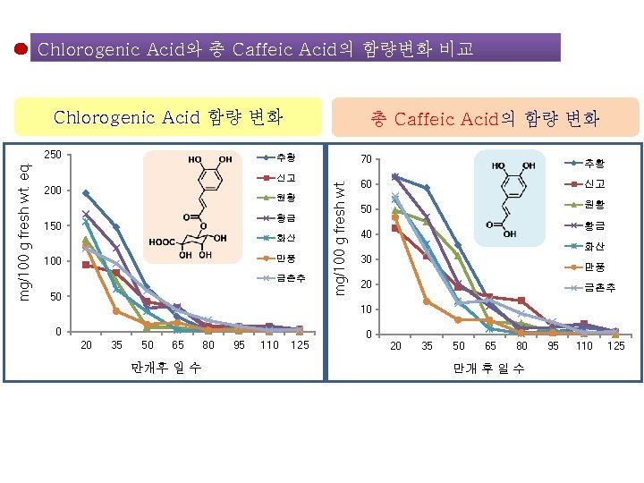 Chlorogenic Acid와 총 Caffeic Acid의 함량변화 비교 Chlorogenic Acid 함량 변화 추황 신고 200