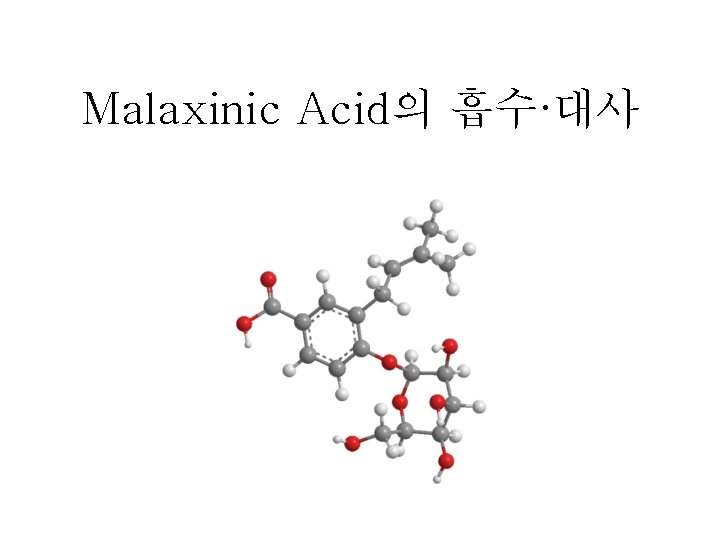 Malaxinic Acid의 흡수·대사 