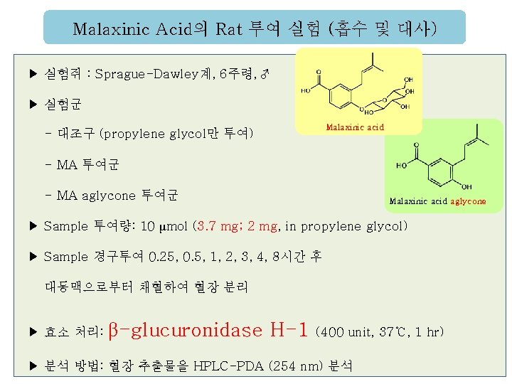 Malaxinic Acid의 Rat 투여 실험 (흡수 및 대사) ▶ 실험쥐 : Sprague-Dawley계, 6주령, ♂