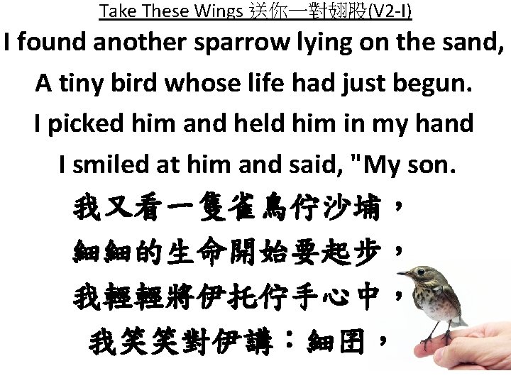 Take These Wings 送你一對翅股(V 2 -I) I found another sparrow lying on the sand,