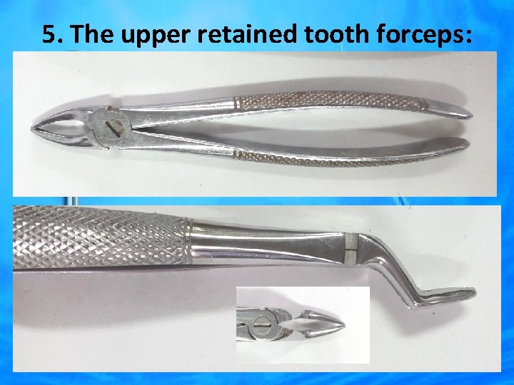 5. The upper retained tooth forceps: 