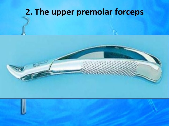 2. The upper premolar forceps 