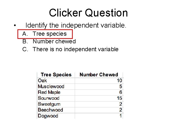 Clicker Question • Identify the independent variable. A. Tree species B. Number chewed C.