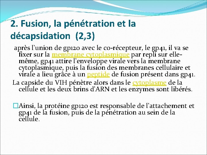 2. Fusion, la pénétration et la décapsidation (2, 3) après l'union de gp 120
