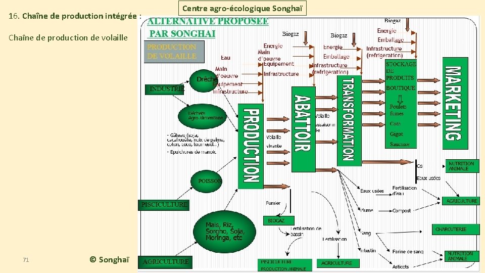 16. Chaîne de production intégrée : Chaîne de production de volaille 71 © Songhaï