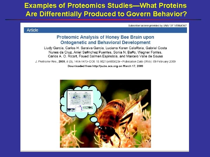 Examples of Proteomics Studies—What Proteins Are Differentially Produced to Govern Behavior? 