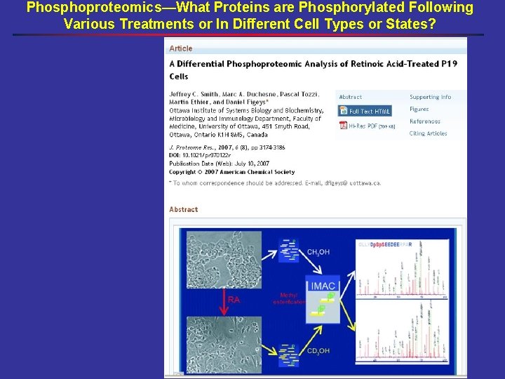 Phosphoproteomics—What Proteins are Phosphorylated Following Various Treatments or In Different Cell Types or States?