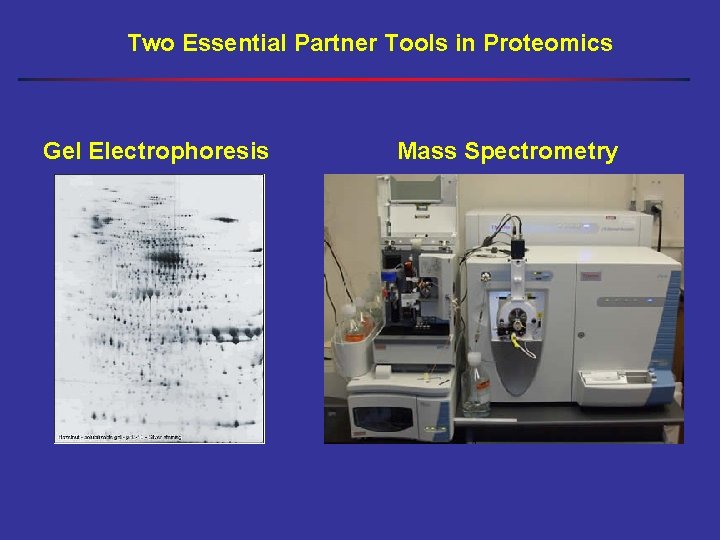 Two Essential Partner Tools in Proteomics Gel Electrophoresis Mass Spectrometry 