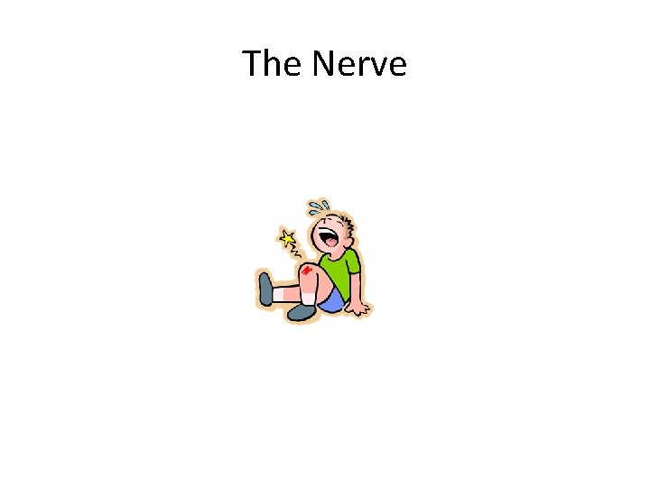 The Nerve 