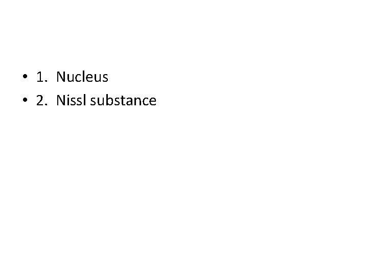  • 1. Nucleus • 2. Nissl substance 