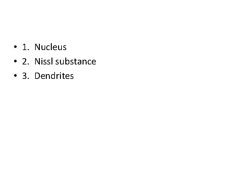  • 1. Nucleus • 2. Nissl substance • 3. Dendrites 