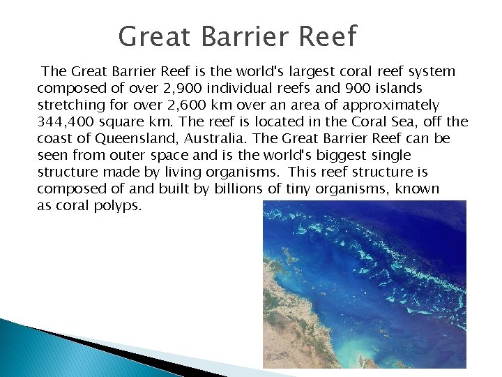 Great Barrier Reef The Great Barrier Reef is the world's largest coral reef system