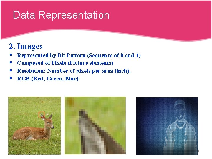Data Representation 2. Images § § Represented by Bit Pattern (Sequence of 0 and Data Representation 2. Images § § Represented by Bit Pattern (Sequence of 0 and
