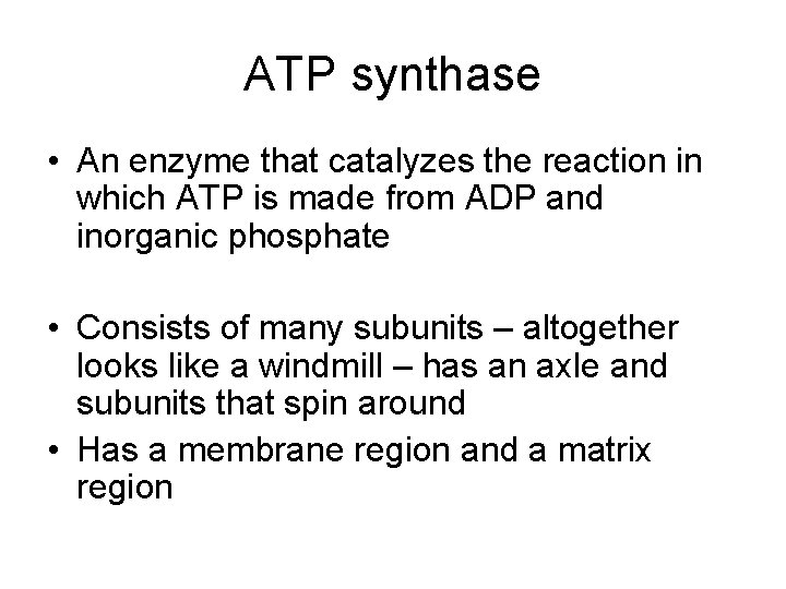 ATP synthase • An enzyme that catalyzes the reaction in which ATP is made